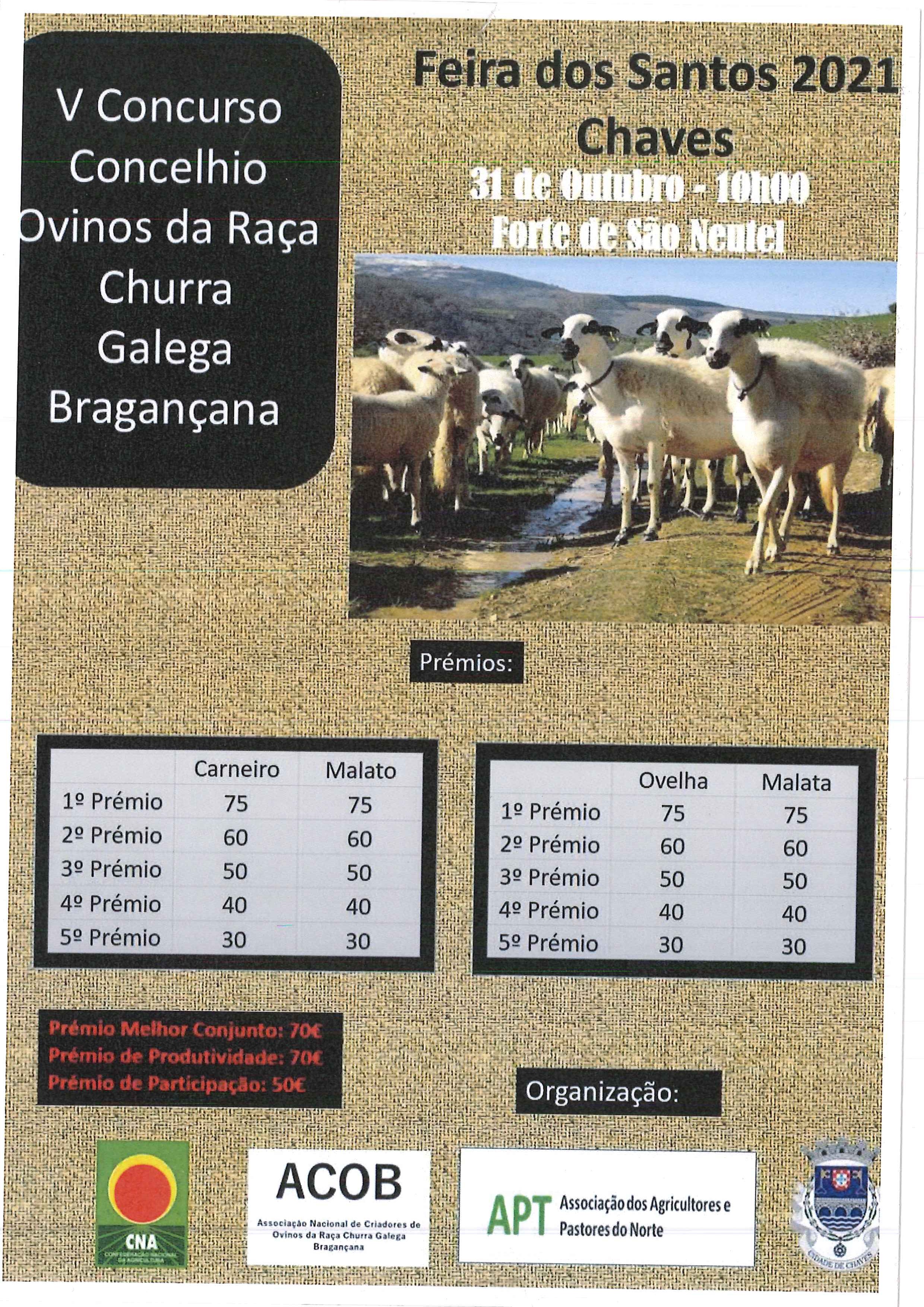 V Concurso Bragança Chaves 2021
